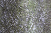 Gatesheath fibreglass roof work